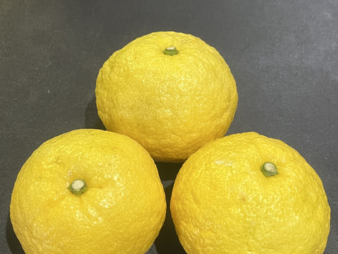 上品な柑橘「はるか」3kg