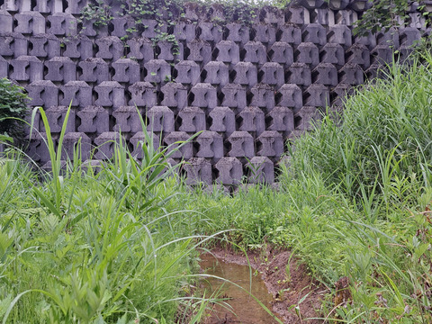 【令和6年産－新潟・とちお産コシヒカリ】豊かな山の湧水で育てたお米（精米10kg・5㎏×2袋／農家直送・送料相当分値引き中）(箱込み総重量)　<残りわずか冷蔵保存中>
