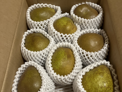 ●訳あり●　山形県産　洋梨　ラ・フランス　2kg (6～12玉)