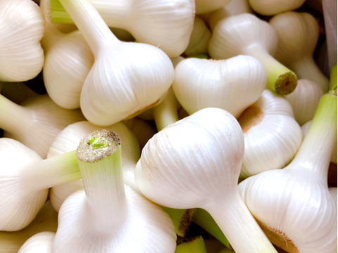 【先行予約】青森県田子町産にんにく2kg【限定販売】