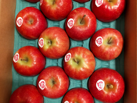 キュンとくる酸味りんご❗　ピンクレディー®（12個から16個）箱含め3キロ