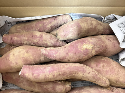 《熟成1ヶ月超えでお届け！》紅はるか（5kg）(茨城県産)・(サツマイモ)(Ⅿ～２Lサイズ)(土付き)