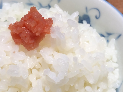新米令和5年度産【カルシウム強化米】こしひかりカルゲン米（5kg）