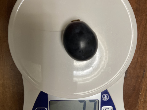 悪魔のぶどう😈山梨県産ブラックビート3kg