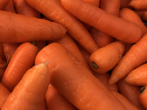 6キロ　Ｌサイズカラフル人参