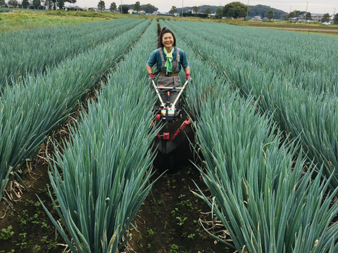 細め！の深谷ネギ泥付きギッシリ　4ｋｇオーバー＼(^o^)／