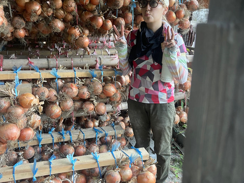 ◎農家直送!!【訳あり】淡路島産ブランド玉ねぎ 『にじたま』10kgダンボール入り（ご家庭用・25個前後） 使いやすいL・2L・3L混在！