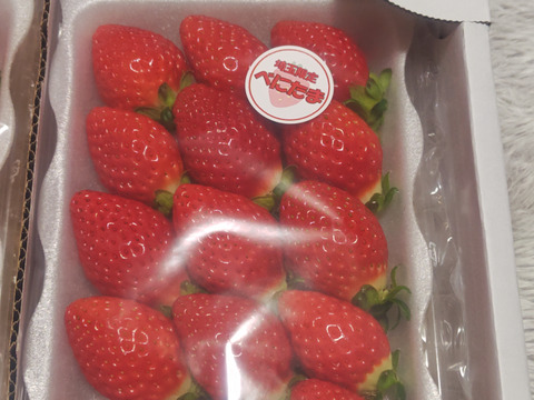 埼玉県特産いちご　べにたま