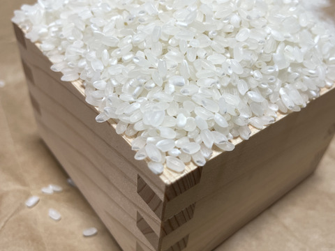 新米 令和7年度産【もりのくまさん】白米5キロ 熊本の地下水使用