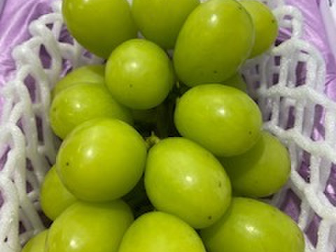 話題のシャインマスカット甘い(1房)