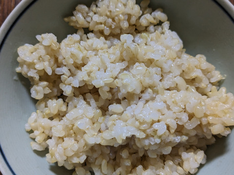 農薬化学肥料未使用玄米ヒノヒカリ