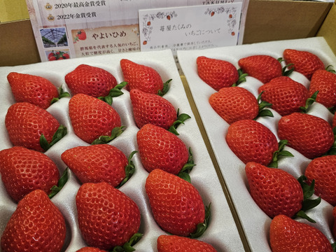 【贈答用】品評会最高金賞受賞 朝採れ甘熟いちご (800g x 2箱) みなさんで美味しくたくさん召し上がれます♬