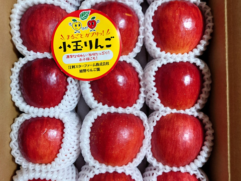まるごとガブリっ！奥州ロマン☆小玉・食べきりサイズりんご【岩手江刺産】３㎏