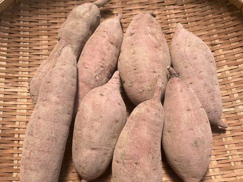 ＊自然栽培〈特大べにはるか〉大分県産さつまいも 4kg