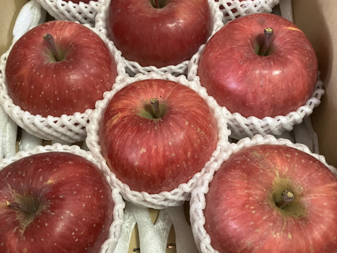 蜜入りチェック済！超大玉葉取らずスペシャル3キロ8玉葉取らず農薬半減栽培樹上完熟蜜入サンふじ　蜜ライトにて光を通すかチェックします！　りんご　農薬半減栽培で安心安全　　すぐ発送‼️限定1