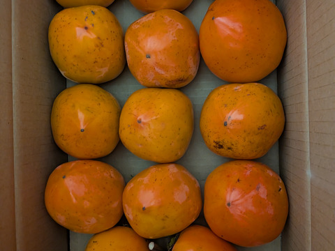 甲州百目（干し柿用渋柿）ご家庭用4ｋｇ(12～16個）