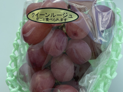 新素材新作 希少品種 クイーンルージュ 約800g(2～3房程度)：長野県産の フルーツ