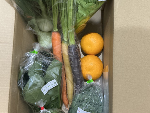 多品目栽培農家のユニーク旬野菜つめあわせ8種セット