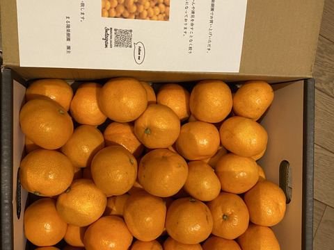 【小玉サイズ(３Ｓ・２Ｓ）・秀／優混合】≪3㎏≫和歌山有田産！早生みかん