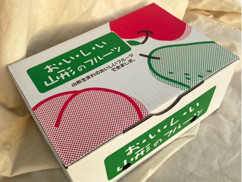 パリパリ食感★大粒シャインマスカット★ご家庭用（500ｇ×２パック入り）1000ｇ