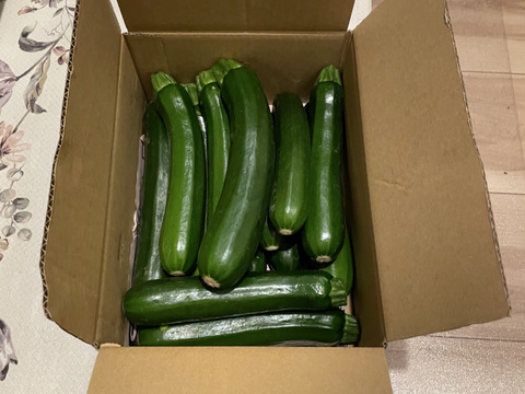 【鹿児島産】甘塩ズッキーニ箱込み2キロ^_^