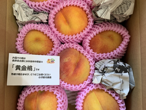 果汁たっぷり！信州産桃  品種おまかせ 2kg（5～8個）
