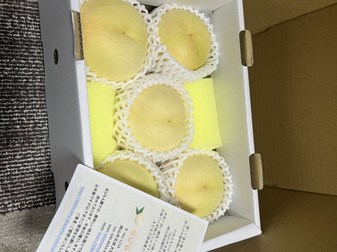 食品 ❋❋❋藤田様専用❋❋❋ 白皇（はくおう）桃 9個入り(家庭用)二箱
