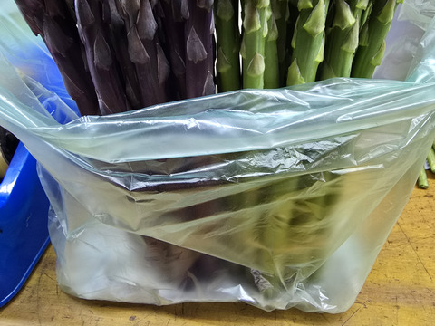 【紫＆緑アスパラ食べ比べ】「アスパラガス」サイズミックス1kg