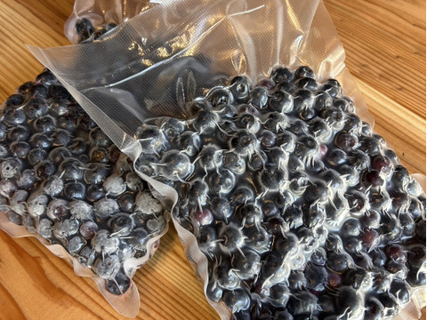 冷凍】【大鹿村産農薬不使用】加工用冷凍ブルーベリー（3kg）：長野県