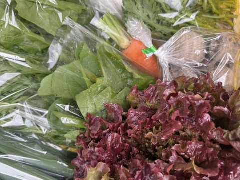 おまかせ野菜セット‼️100サイズの箱でお届け