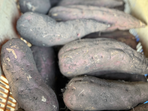 カット干し芋　群馬県東吾妻町産　300g（150g×2パック）