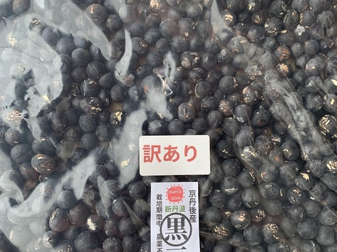 新豆R7 沢山黒豆食べたーい！自然栽培 訳あり 新丹波黒豆 ＜黒豆五目
