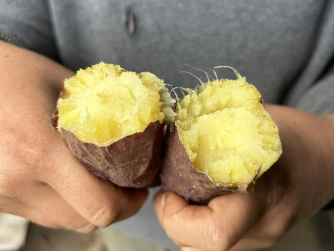 熊本県産オーガニックきみまろこ＆べにはるか(箱込み５㎏)【紅白のさつまいもで縁起物】定番の紅いさつまいもと話題の白いさつまいも。焼き芋、お菓子作りにも！