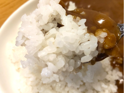 《農薬不使用・肥料除草剤不使用》お日さまたっぷりのお米『日本晴』【白米】5kg・2025年和歌山県産