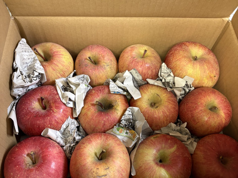 食べちょくアワード入賞記念　500円割引中❣ 　まるせい果樹園のサンふじ　訳あり　自家用　家庭用　6キロ　rf8