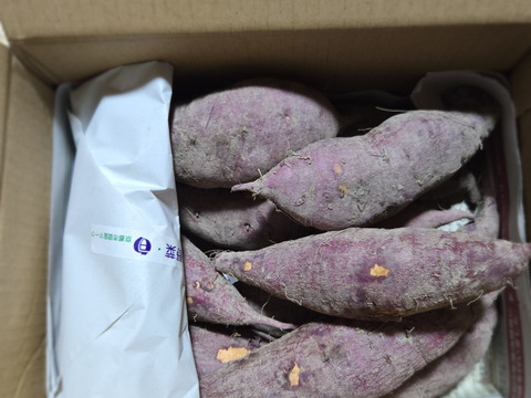 オレンジ色の機能性さつまいも　ハロウィンスイート2kg【漢方栽培】