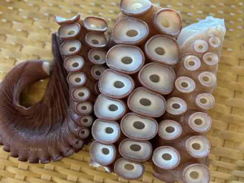 【インパクト大！】北海道白老産　活茹で水だこ（足）1㎏1本【3等分真空加工】