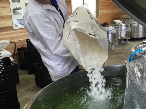 甘くない上にスッキリ呑める辛口梅酒「梅しずく」500ml　アルコール度数15度