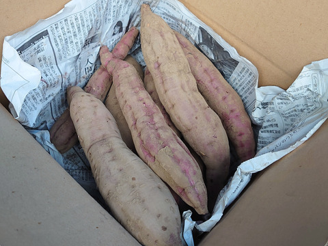 【農薬化学肥料不使用】甘くてホクホク！ベニアズマ さつまいも 1ヶ月熟成 箱込み2kg