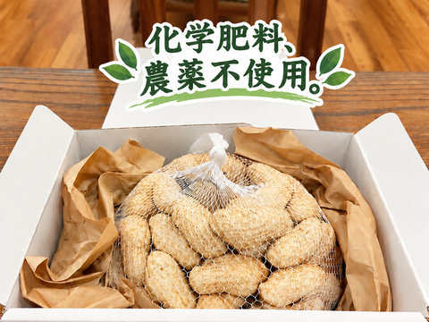 今しか食べられない！『生落花生(おおまさり)』800g✖️2個