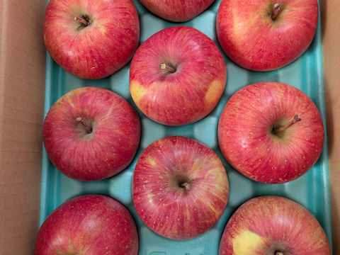 りんごの代表格！ サンふじ 3kg(3L～Sサイズ)自家用(訳あり品)  信州安曇野産りんご