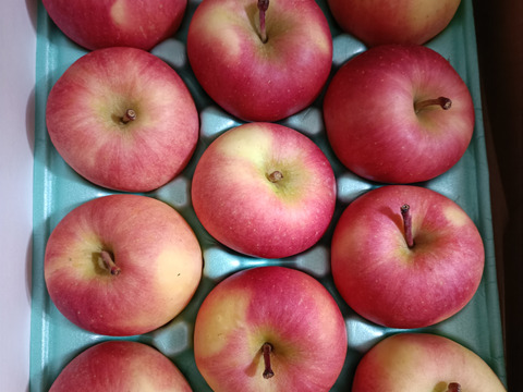 完売御礼【特別栽培りんご】蜜入り🍎こうとく2kg 葉とらずりんご 農薬50%減＋化学肥料不使用 希少品種　キズなし良品　ギフト