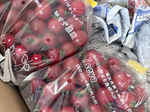 赤い宝石　ミニトマト『サンチェリーピュア』　1㎏（500gX
2袋 　約5パック分）