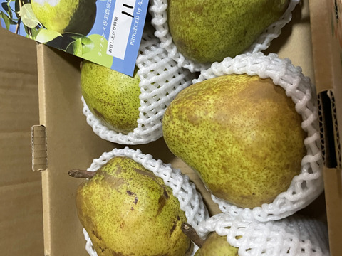 【ラフランス専業農家が贈る🍐】ラ・フランス 訳あり２kg４〜７玉入り　２Lサイズ以上のみ！【規格外】