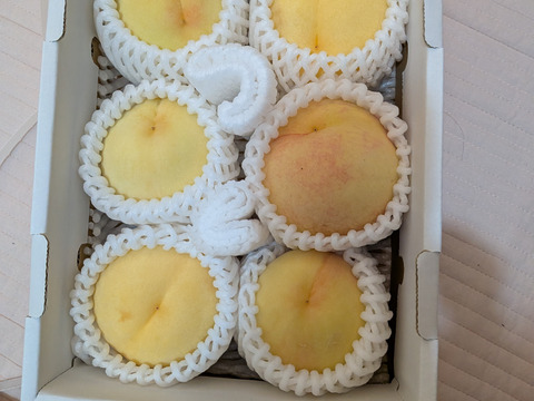 🍑【農家の朝食】黄金桃小箱【3〜6個】