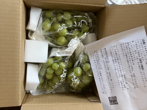 数量限定お試し価格】シャインマスカットご家庭用(訳あり品
