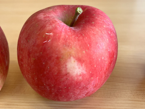 青森県産りんご 弘前ふじ 家庭用【5㎏ 12～20個入り】：青森県産のふじ