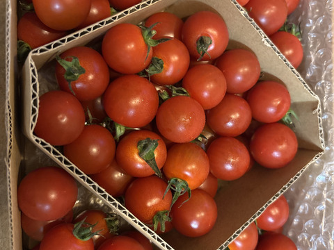 味の正統派！【小鈴】1K