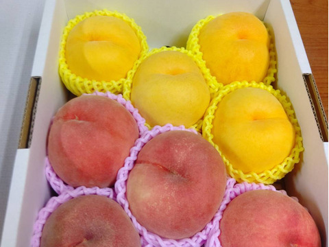 数量限定！旬の桃おまかせ🍑桃食べ比べセット2kg ※9～10月発送