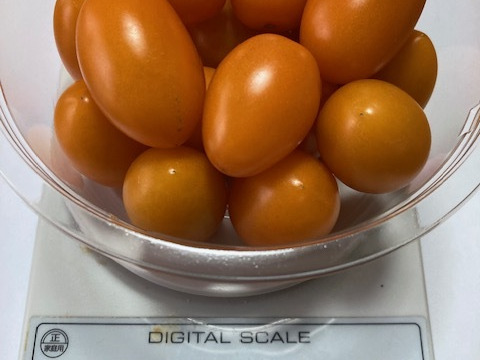 ミニトマト　食べ比べ！　オレンジドルチェ/プレミアムルビー/キャンドルライト　250ｇ×4ｐ